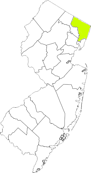 new jersey fire, new jersey firefighters, nj firefighters, nj fire, new jersey fire department, bergen county, bergen county ems, bergen county fire apparatus, bergen county fire departments