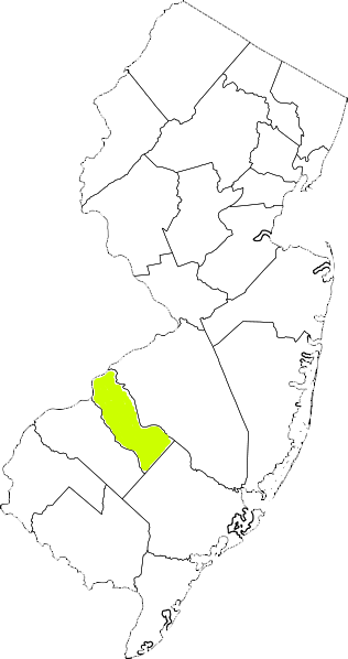 new jersey fire, new jersey firefighters, nj firefighters, nj fire, new jersey fire department, camden county, camden county ems, camden county fire apparatus, camden county fire departments