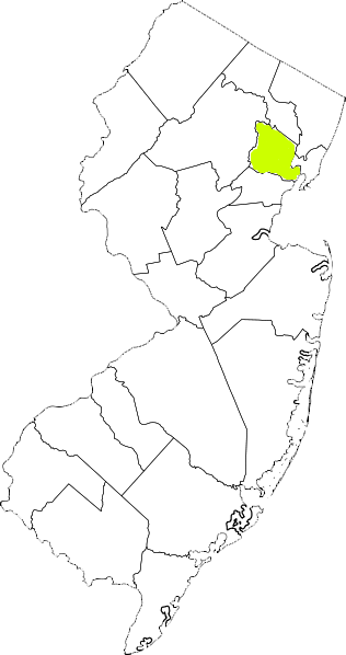 new jersey fire, new jersey firefighters, nj firefighters, nj fire, new jersey fire department, essex county, essex county ems, essex county fire apparatus, essex county fire departments