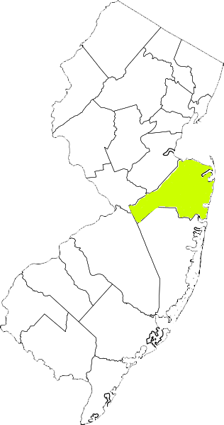 new jersey fire, new jersey firefighters, nj firefighters, nj fire, new jersey fire department, monmouth county, monmouth county ems, monmouth county fire apparatus, monmouth county fire departments