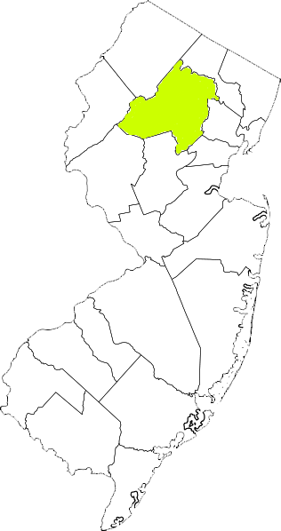 new jersey fire, new jersey firefighters, nj firefighters, nj fire, new jersey fire department, morris county, morris county ems, morris county fire apparatus, morris county fire departments