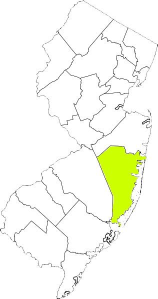 new jersey fire, new jersey firefighters, nj firefighters, nj fire, new jersey fire department, ocean county, ocean county ems, ocean county fire apparatus, ocean county fire departments